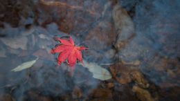 Higher Lessons in Letting Go and Letting God