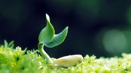 Keys to the Power of Conscious Self-Transformation