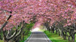 How to Make a Fresh Start in Life!