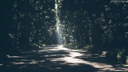 Contact With the Secret Self