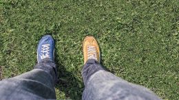Journey to the Self Beyond Comparison