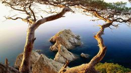 Making the Crooked Places Straight