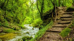 The Secret Path to Self-Perfection