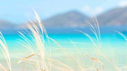 Find Your Own Place in the House of Peace