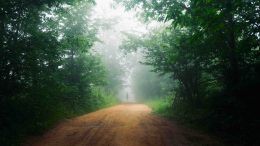 The Wisdom to be Delivered From Painful Desires