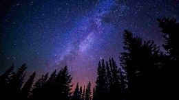 The True Story of Wholeness, Fearlessness and Freedom