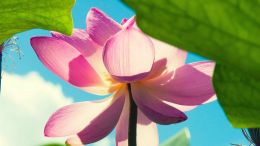 The Wisdom to Invite Excellence into Your Life