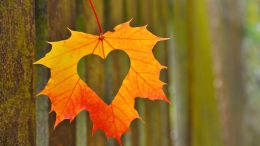 The Work of Opening One's Spiritual Eyes