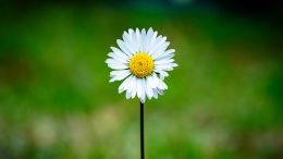 How to Make Way for a New Kind of Will