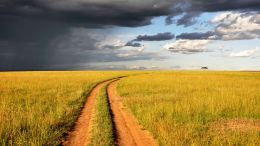 Learn to Embrace Life's Most Difficult Moments