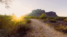 The Secret Path to Perfect Self-Knowledge