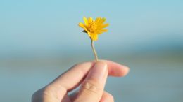 Move from the Mental How into the Spiritual Now