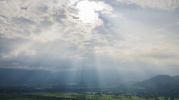 Online Study Group Meeting for Monday (4/29/2019)