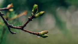 Student Talks on "Enter the Narrow Gate of Endless New Beginnings" (1/6/23)