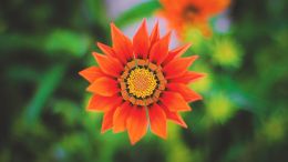 Online Study Group Meeting for Monday (2/8/2021)