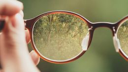The World I See Isn't Outside of Me