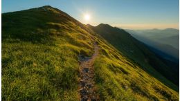 Step onto the "Pathless Path" and Realize a Peace that Passes All Understanding