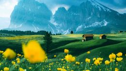 Let Self-Revelation Guide You to the Expansive Life