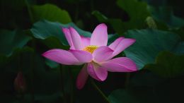 Online Study Group Meeting for Monday (8/3/2020)
