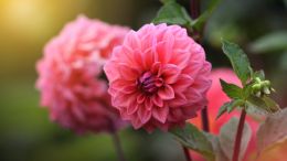 Student Q&A with Guy on "How to Develop and Deepen Your Relationship with the Divine" (5/6/20)
