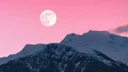 Student Q&A with Guy on "7 Signs of Being Spiritually Asleep" (8/5/20)