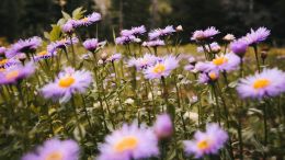 Unleash the Power of Present Living