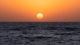 Student Q&A with Guy on "The 7 Elements of Enlightenment: Part 2" (5/16/21)