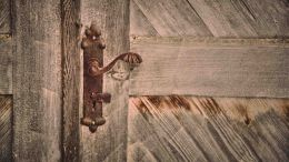 Student Q&A with Guy on "Uncovering the Lost Keys to Unconditional Kindness" (12/20/20)