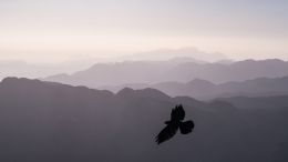 Release Yourself From This Painful Illusion and Watch Resentment Disappear