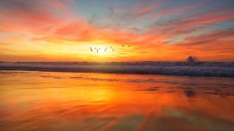 Enter the Broader World of New Understanding