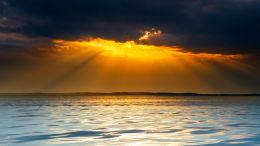 How Do We Go Towards the Light?