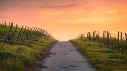 A Higher Lesson in Letting Go and Letting God