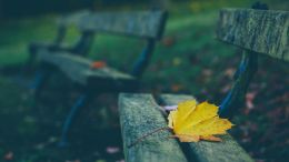 Lingering Pain and Trauma
