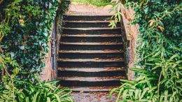 Student Q&A with Guy on "Go Beyond Painful Limitation to Realize Fearless Being" (6/30/21)