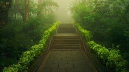 Step into the Matrix of Real Life and Out of the World of Fear and Worry