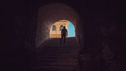 Take the Step Up and Into Real Life 
