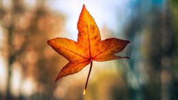 3 Words to Help Reveal and Release You From Any Fear
