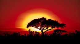 Transforming Suffering is the Triumph of the Soul