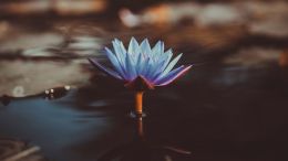 Use the "Power of Patience" to Transform Any Painful Relationship into a More Loving One