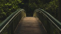 Find the Lost Bridge Over Troubled Waters