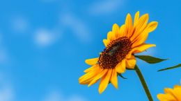 The Truth that Helps Transform the Fear of Death into the Fullness of Real Life