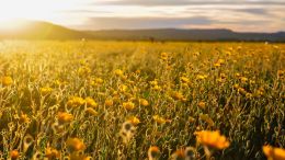 The Awakening of True Self Begins with Asking Yourself These Three Questions