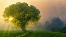 Enlightened Living: Real Life Lessons in Letting Go