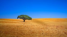 Online Study Group Meeting for Monday (7/10/2023)