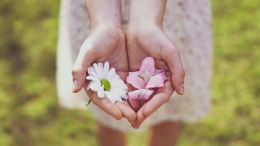 The Invisible Gift of Life that Never Stops Giving