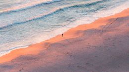 Student Q&A with Guy on "Go Beyond Painful Limitation to Realize Fearless Being" (6/30/21)