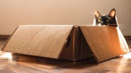 How to Step Outside "the Box" of Old Fears, Worry, and Doubt