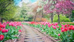 The Karma-Free Path to Being Perfectly Complete