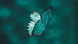 Go Beyond Painful Limitation to Realize Fearless Being