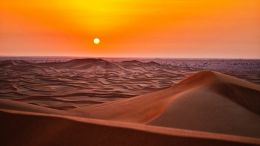 Student Q&A with Guy on "Go Beyond Painful Limitation to Realize Fearless Being" (6/30/21)